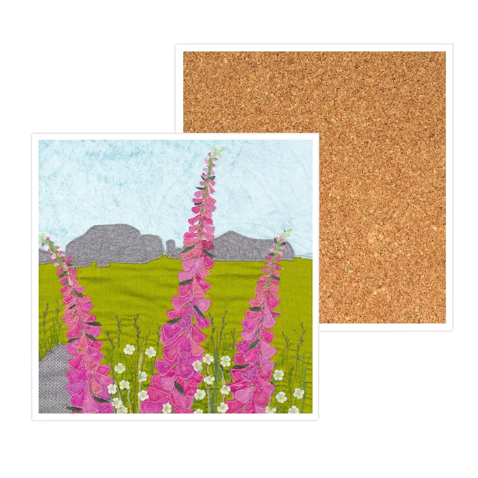 Foxgloves On Saddle Tor