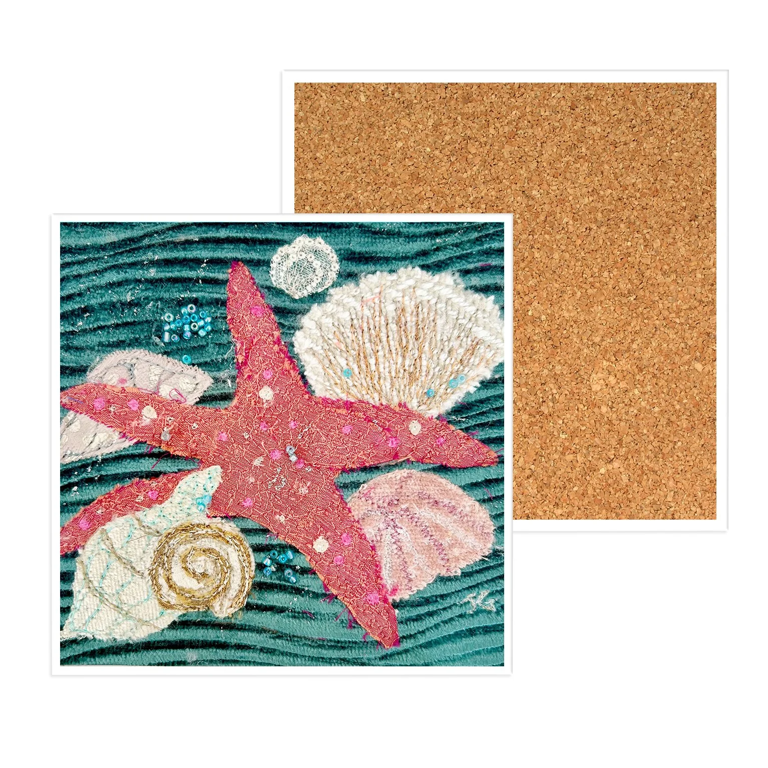 JG CC ROCKPOOLING.jpg