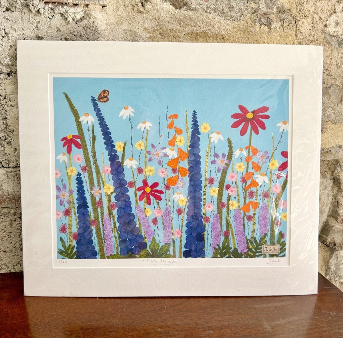 Dizzy Heights - Mounted Print