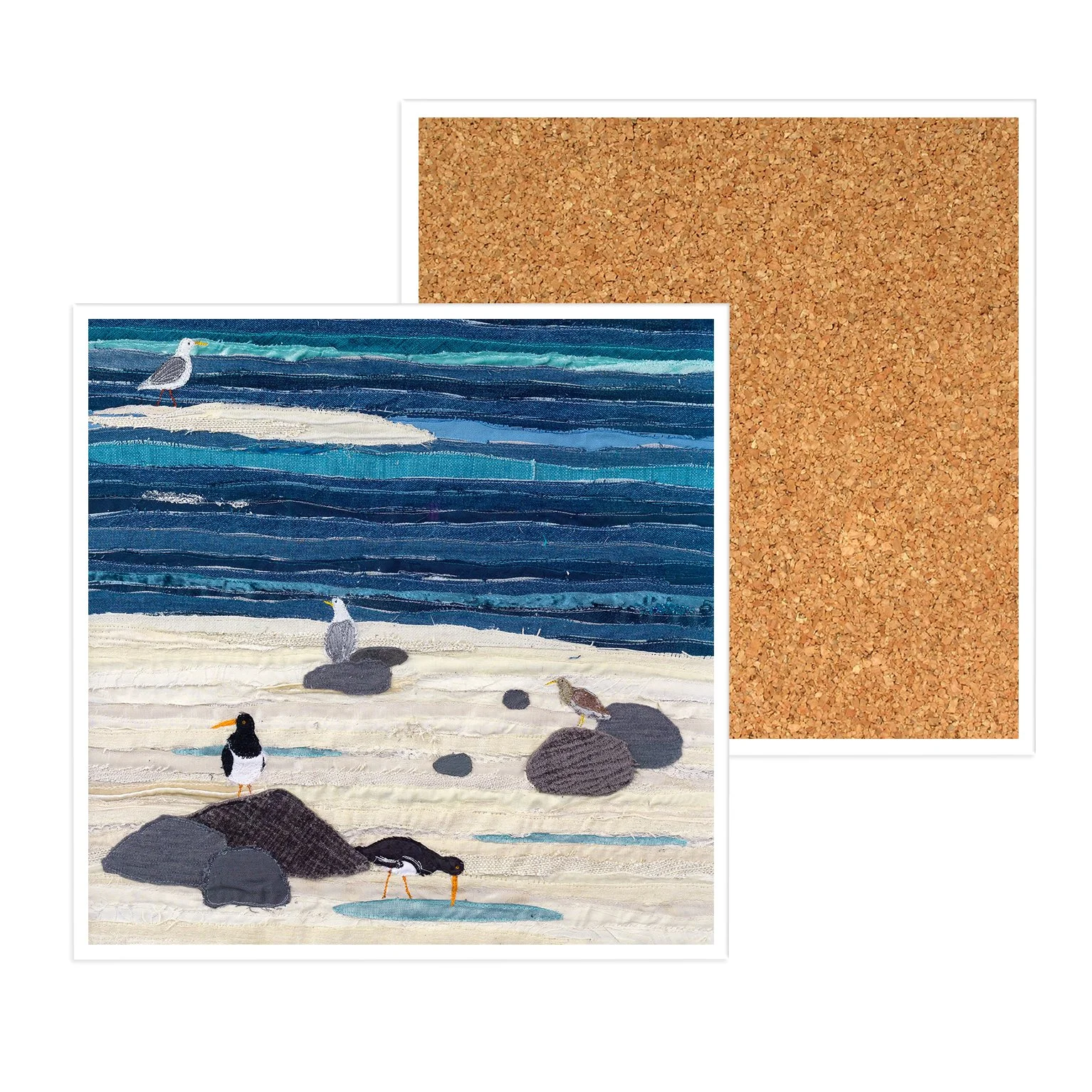 CCMU BEACH BIRDS.jpg