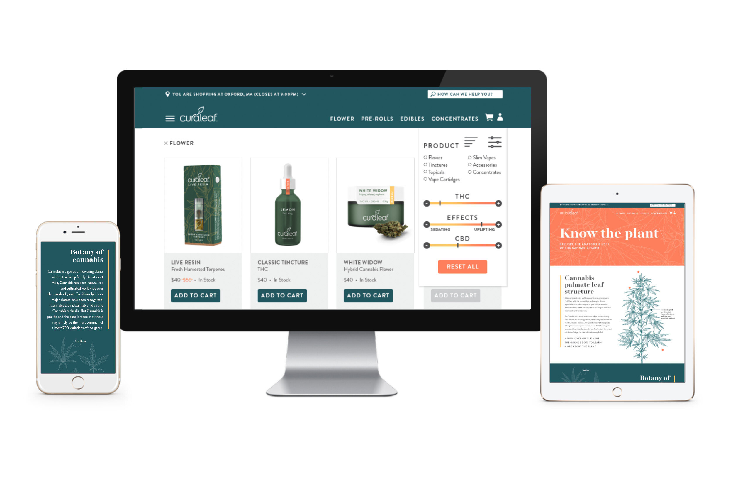 portfolio-curaleaf-8.jpg