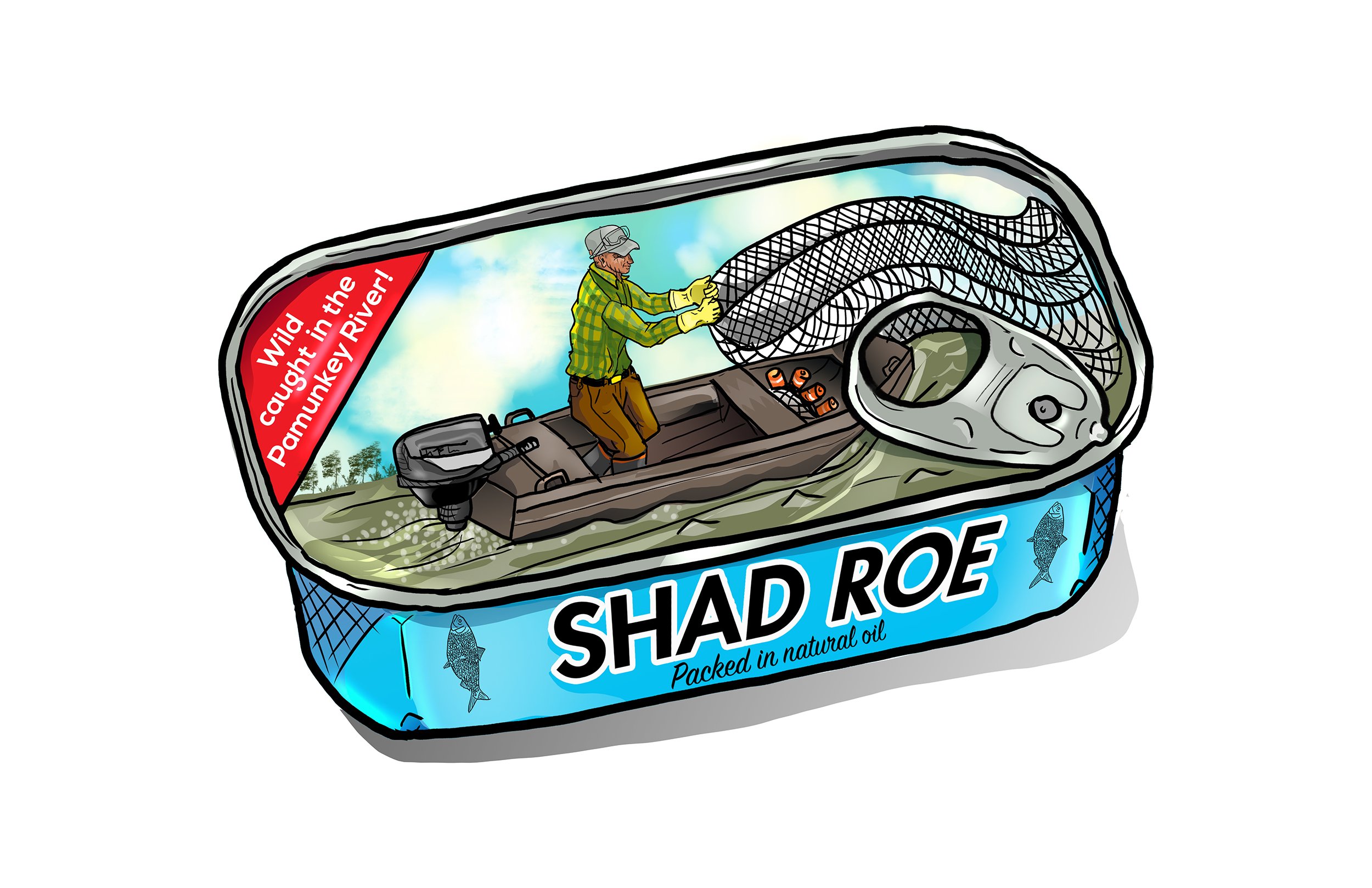 shadroe.jpg