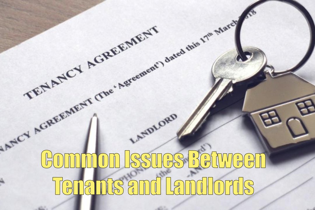 The Yes Team Website - Weekly Tips.001.jpeg