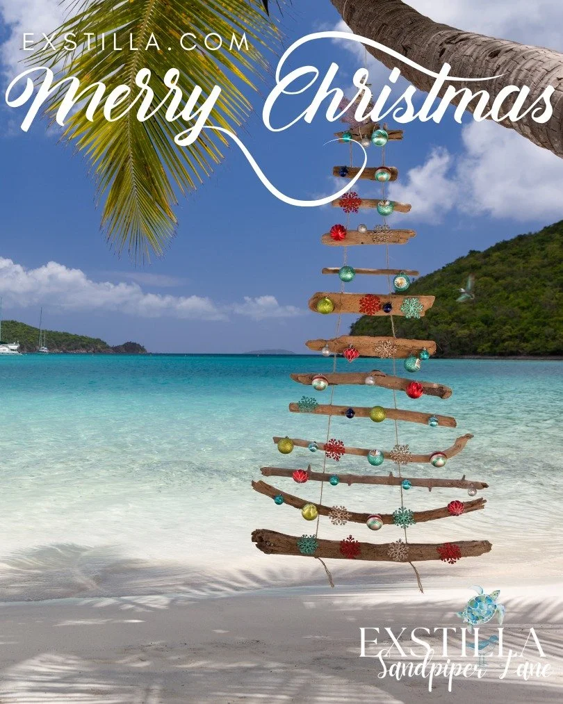 🌊 Where the waves shimmer and the holiday lights glow - Wishing you a Merry Christmas filled with sparkle and tides that flow🎄✨