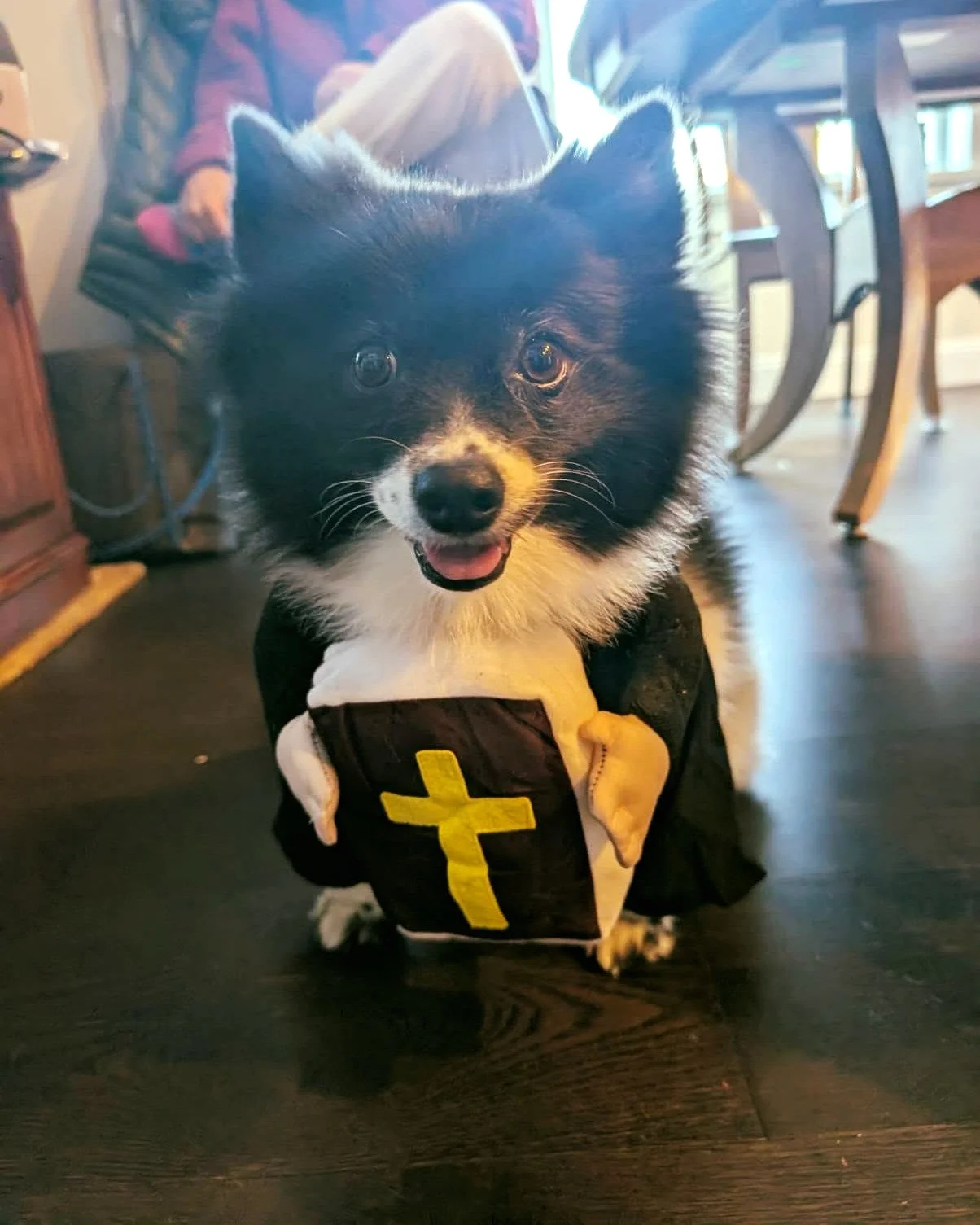 A little heavenly help and a whole lot of treats! 😇👨&zwj;🍳🐾 Happy Howl-oween! 🎃🧡