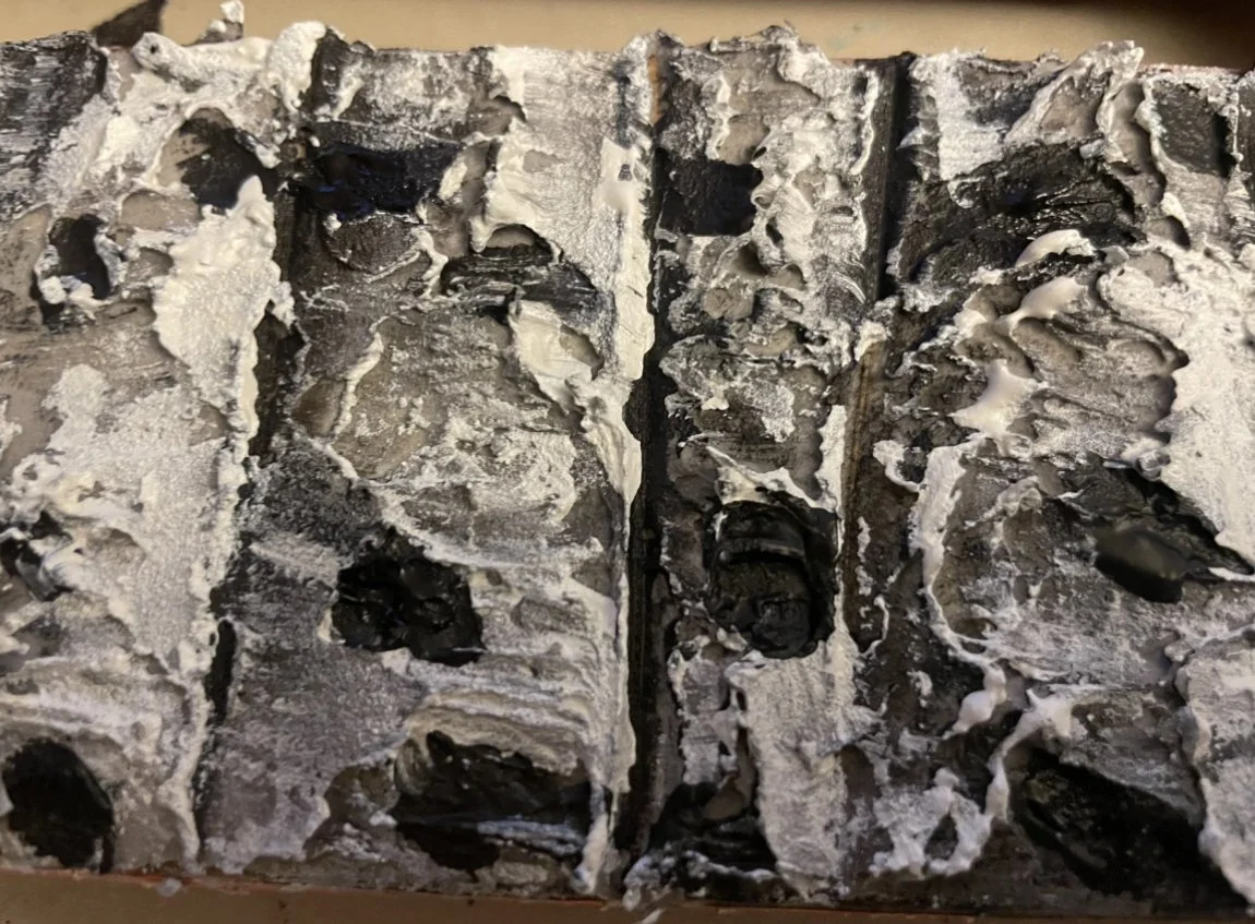 textured birch close up.jpg