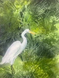 5/16/26 White Egret in Swamp
