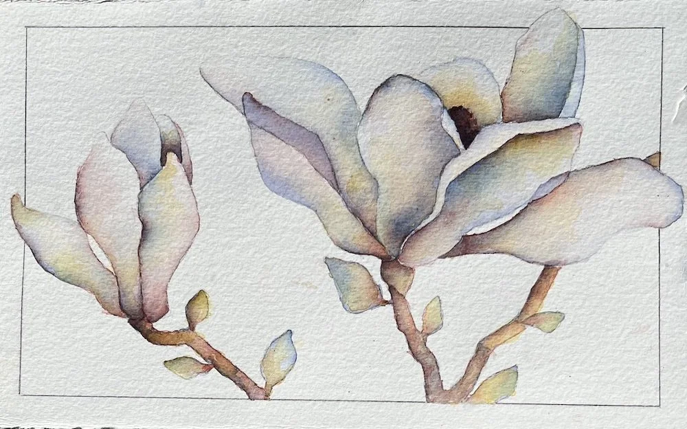 9/20/23 Magnolia Blossom