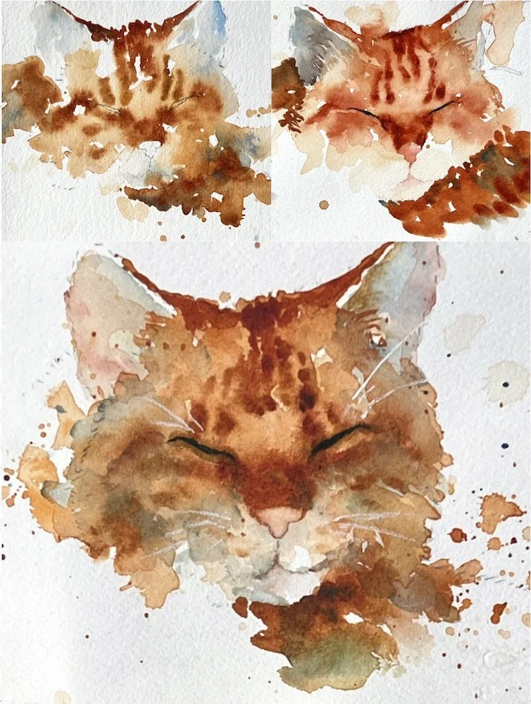 10/18/23 Purrr