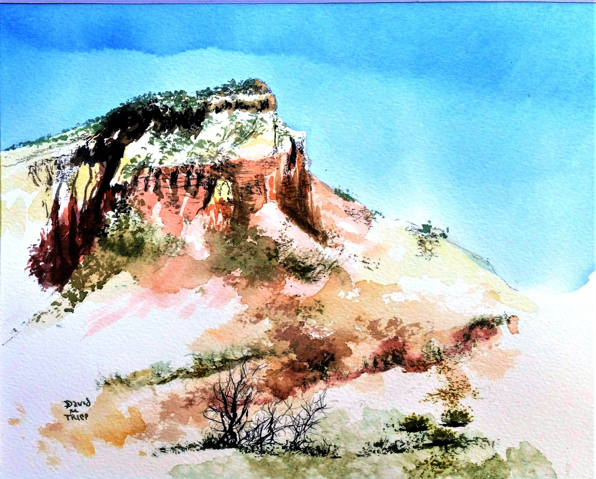 Watercolor w/ David Tripp