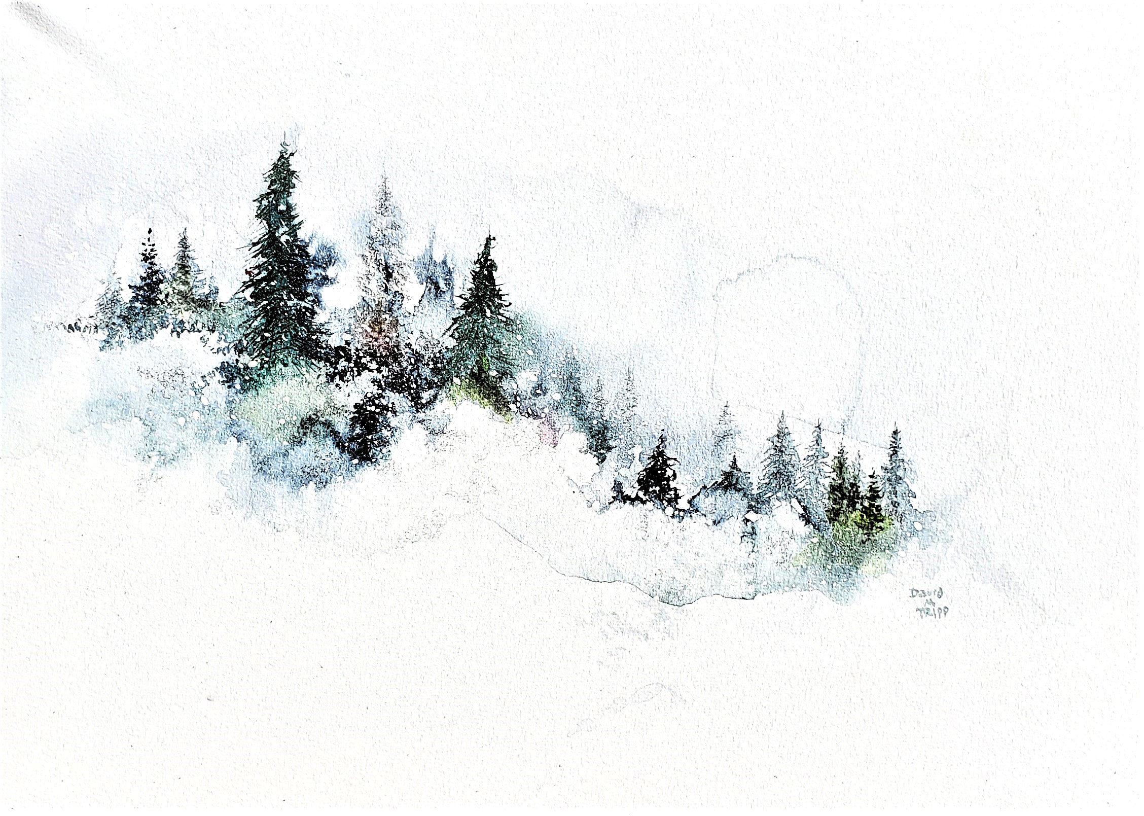 Watercolor w/ David Tripp