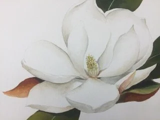 Watercolor w/ Jim Gensheer