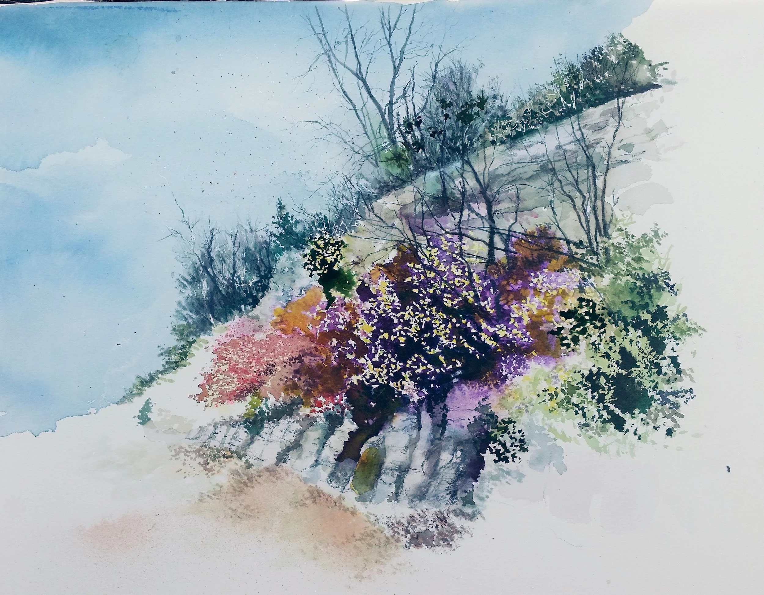 Watercolor w/ David Tripp