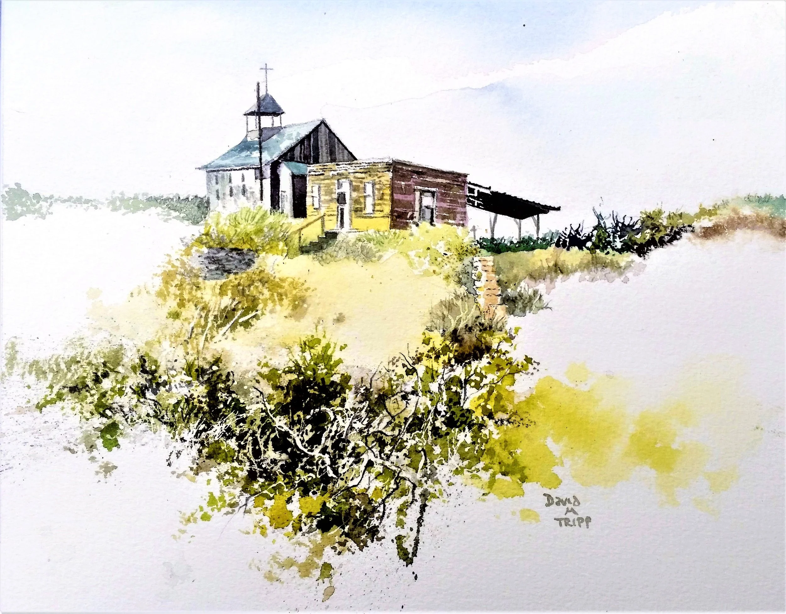 Watercolor w/ David Tripp