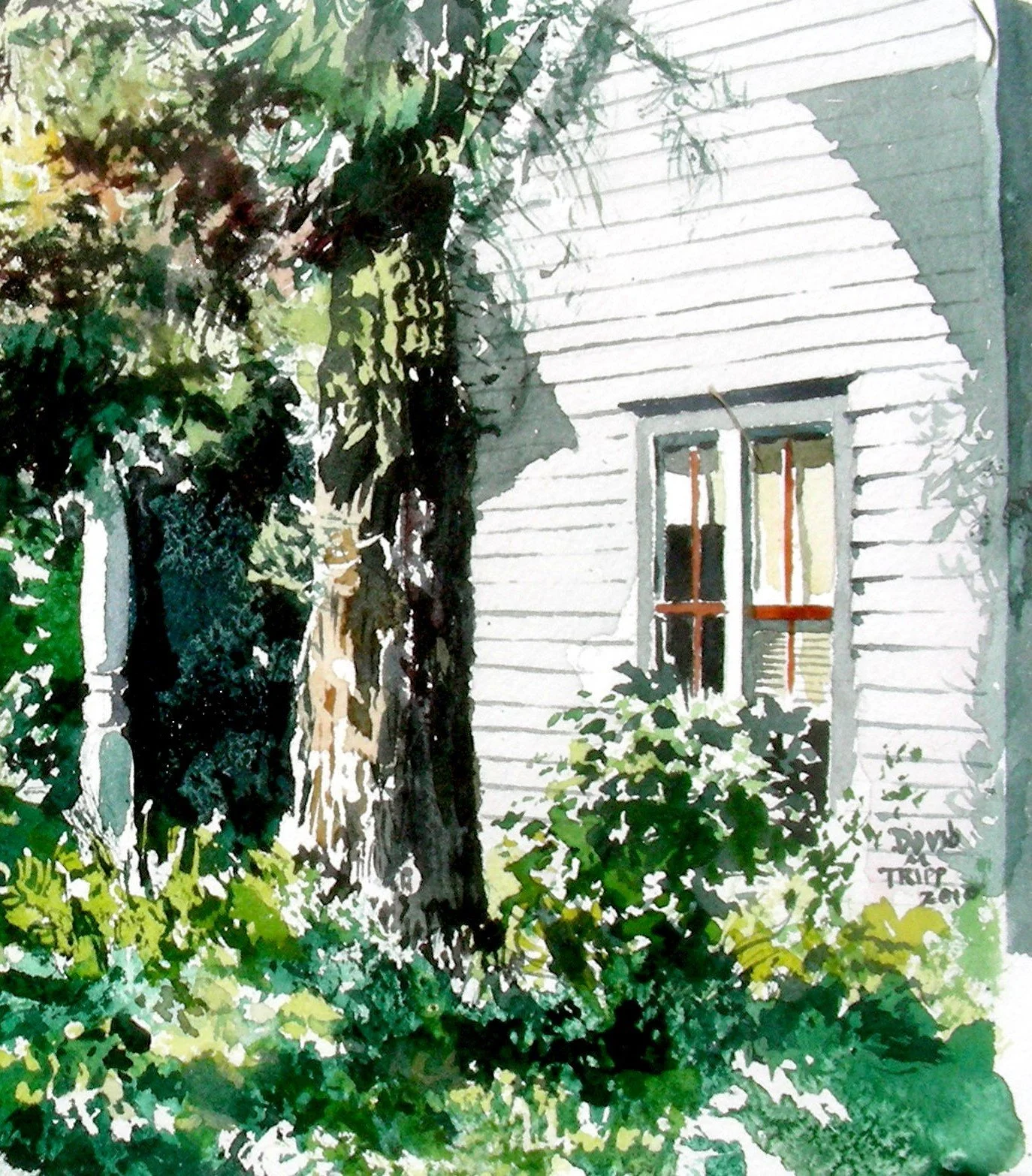 Watercolor w/ David Tripp