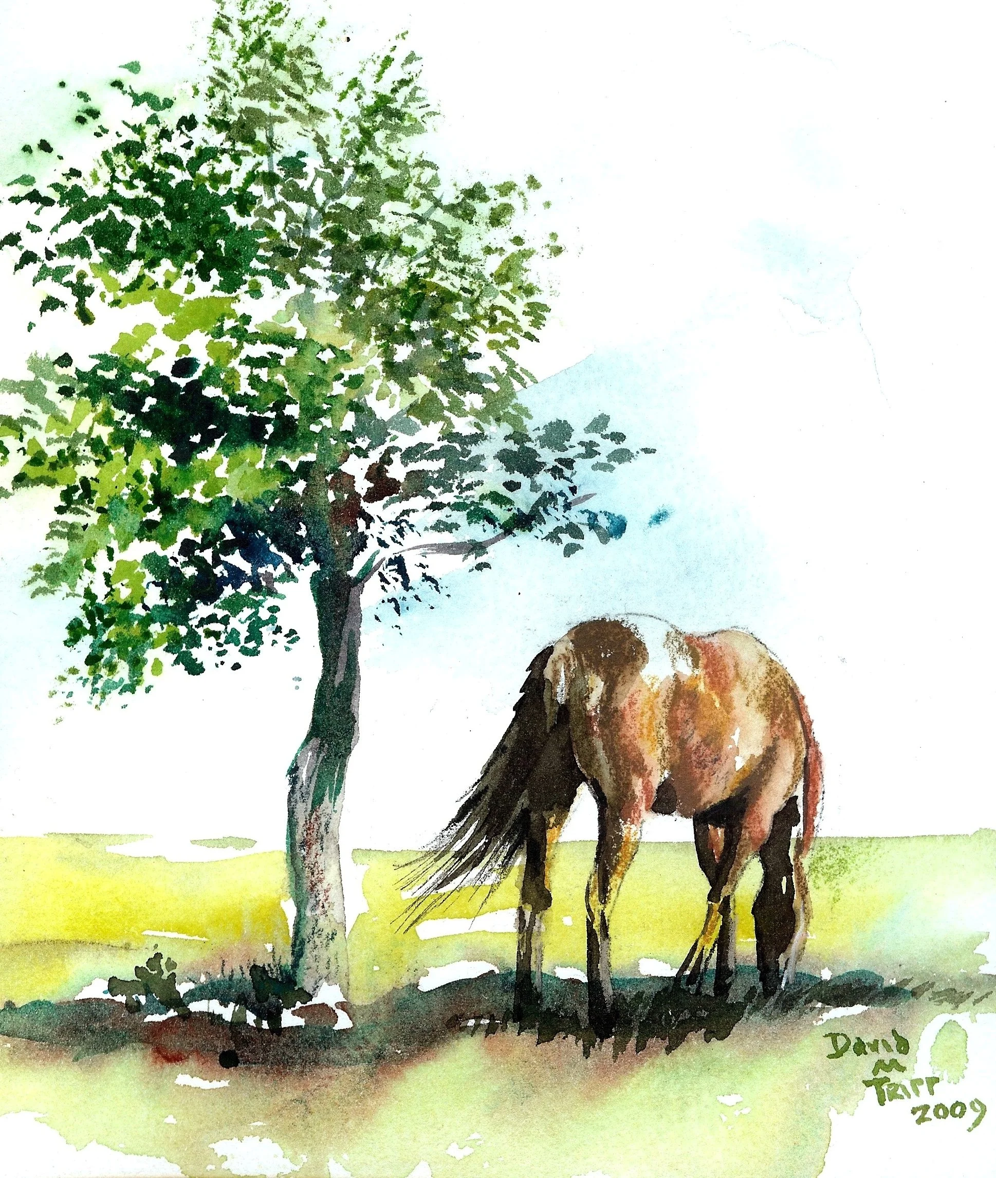 Watercolor w/ David Tripp