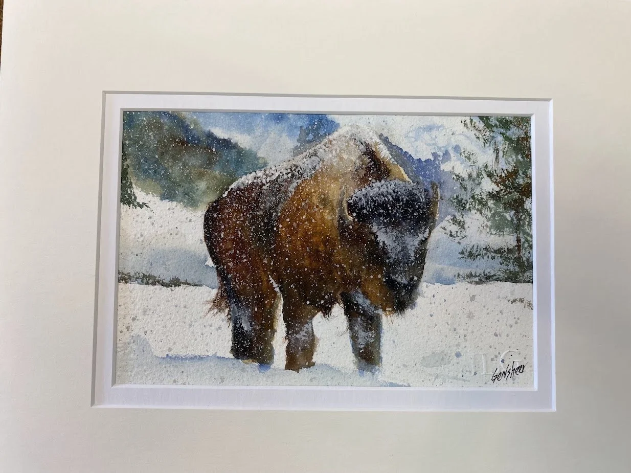 9/19/26 Buffalo in Winter