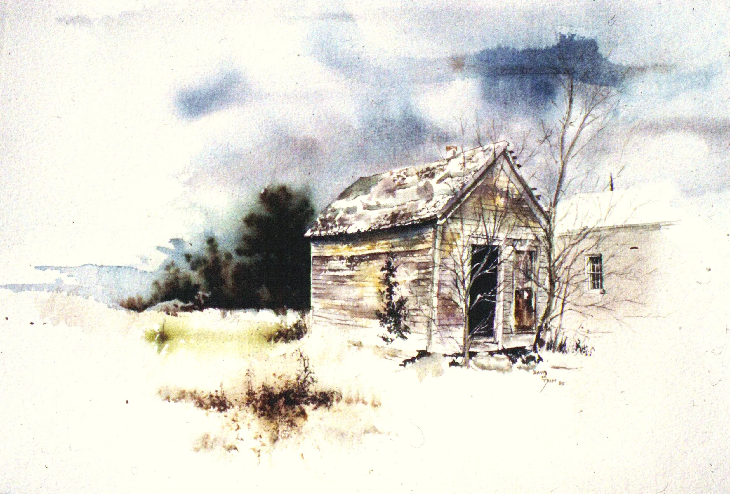 12/17/25 Dexter Remnants