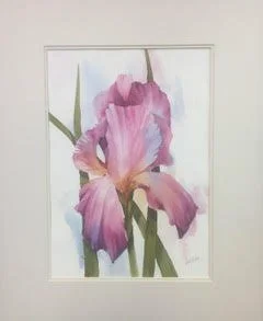 2/7/2026 Iris
