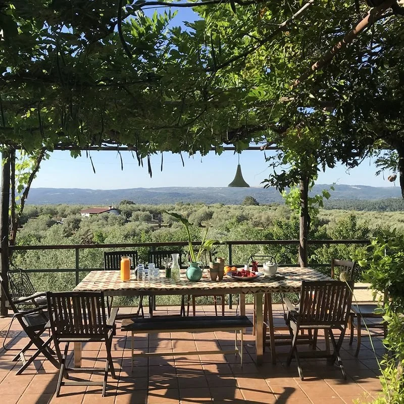 mesa_vista_olivar_nayana_yoga.jpg