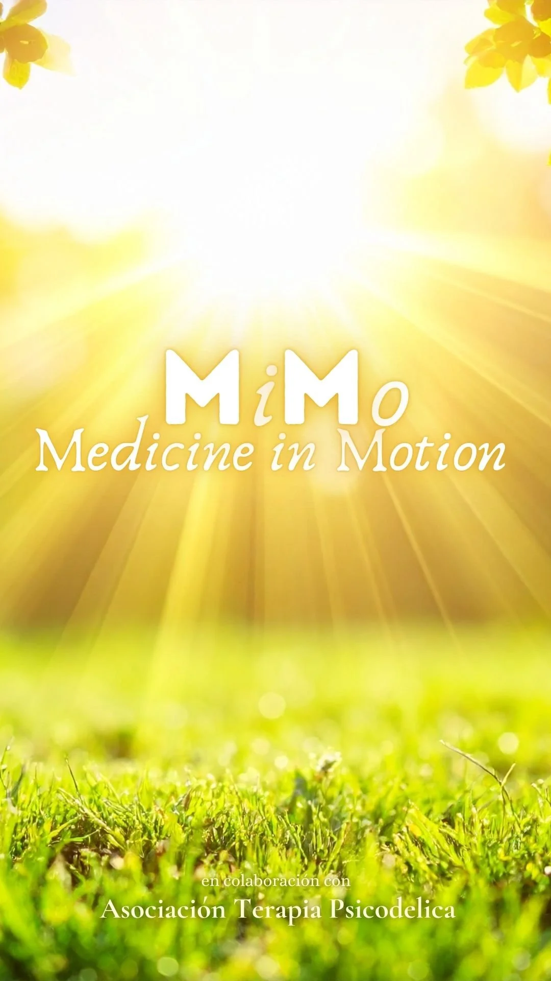 MiMo: Medicine in Motion | Bergara, 15 de marzo