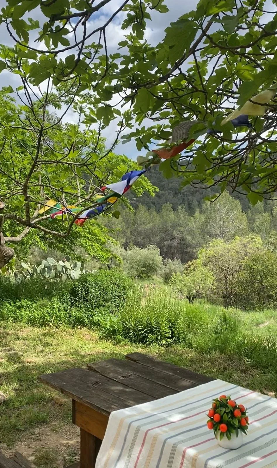 WhatsApp Image 2026-04-18 at 11.28.11.jpeg