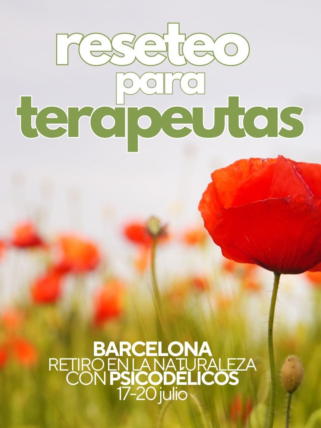 Workshop+flyer+%284%29.jpg