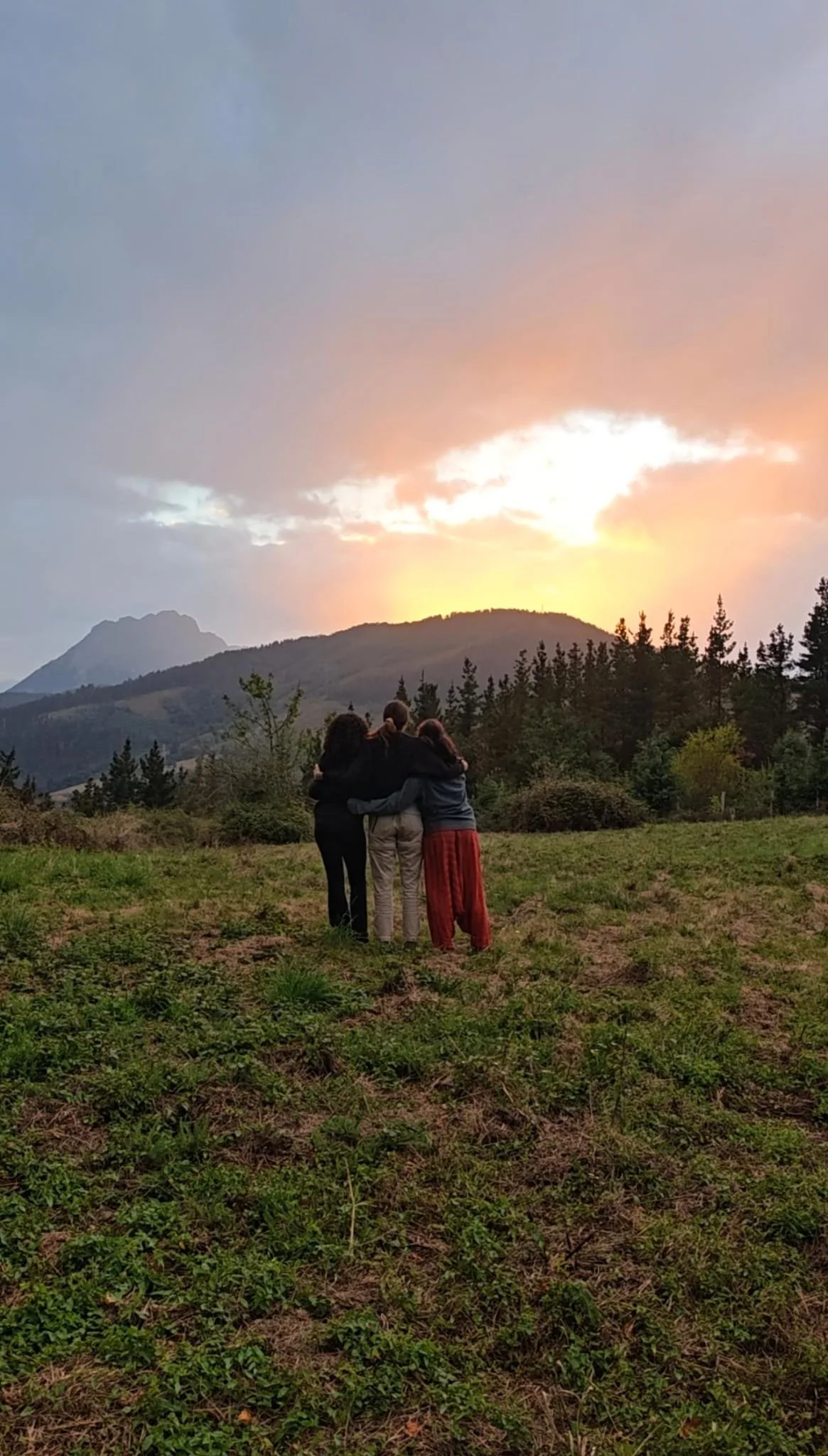 WhatsApp Image 2025-09-09 at 12.18.25.jpeg