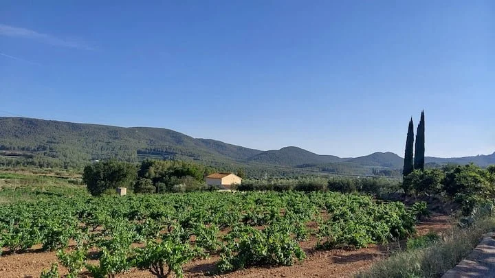 WhatsApp Image 2026-01-07 at 13.26.17.jpeg