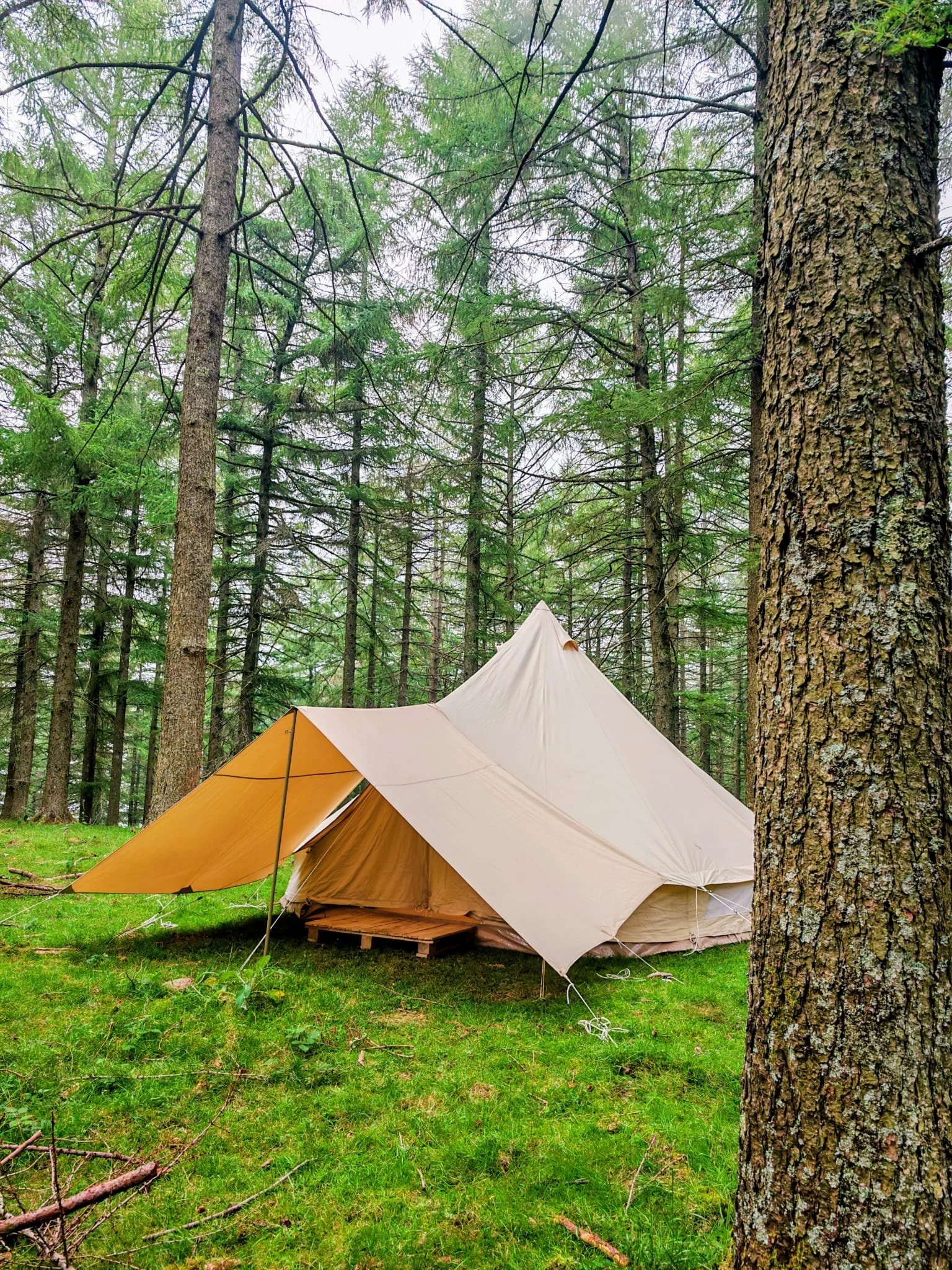 WhatsApp Image 2026-02-19 at 12.41.22.jpeg