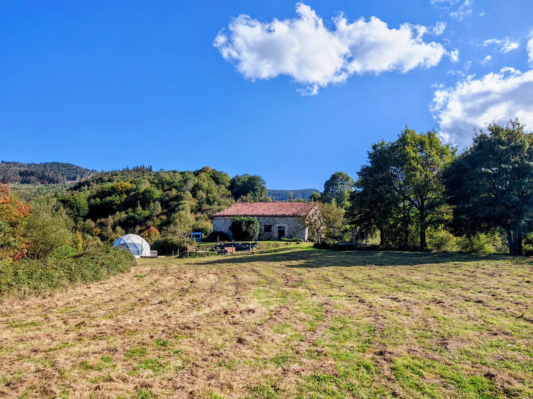 WhatsApp Image 2026-02-19 at 12.43.12.jpeg