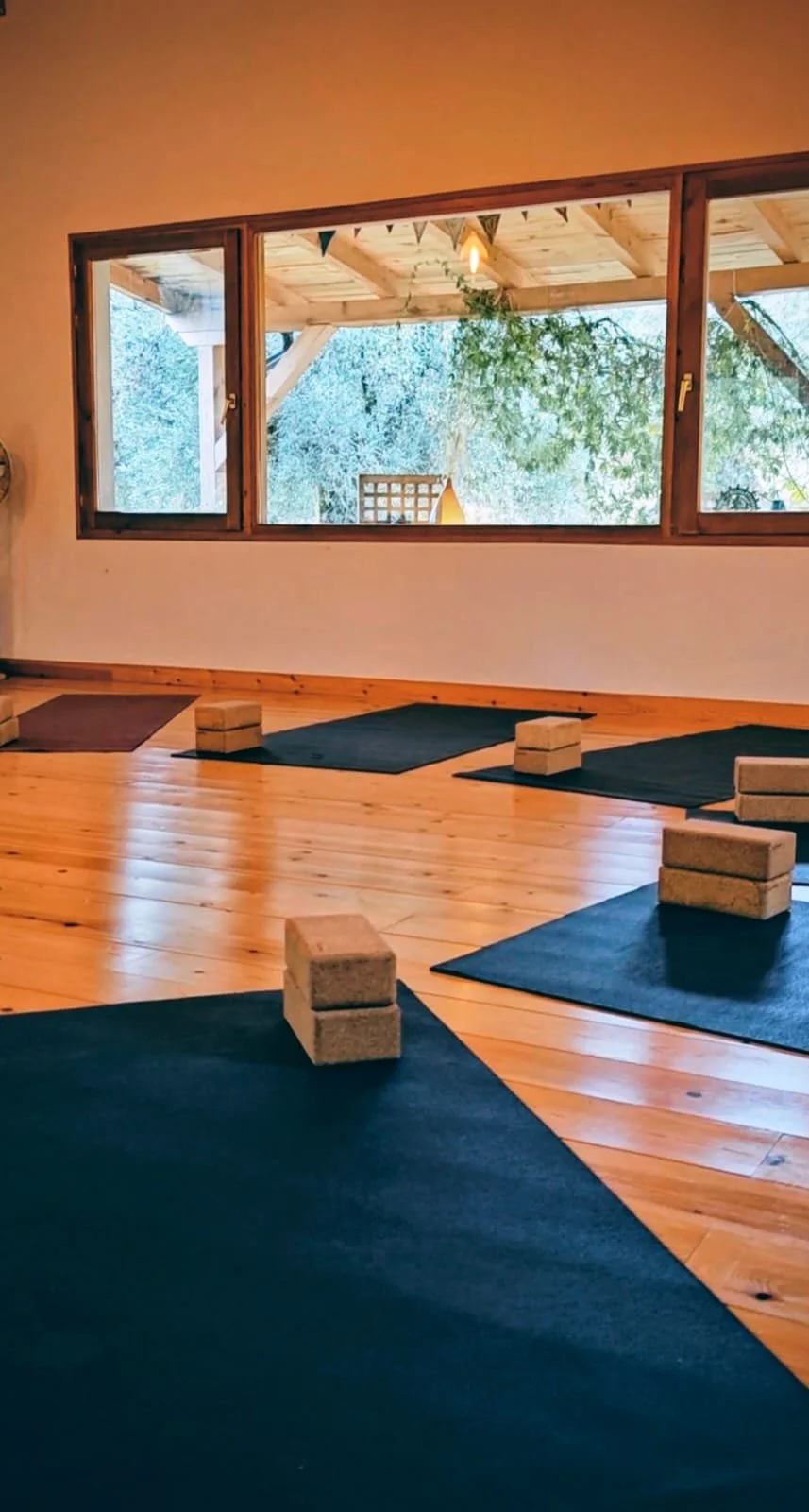 Yoga mats and blocks set up on a wooden floor in a room with large windows overlooking a green outdoor area.