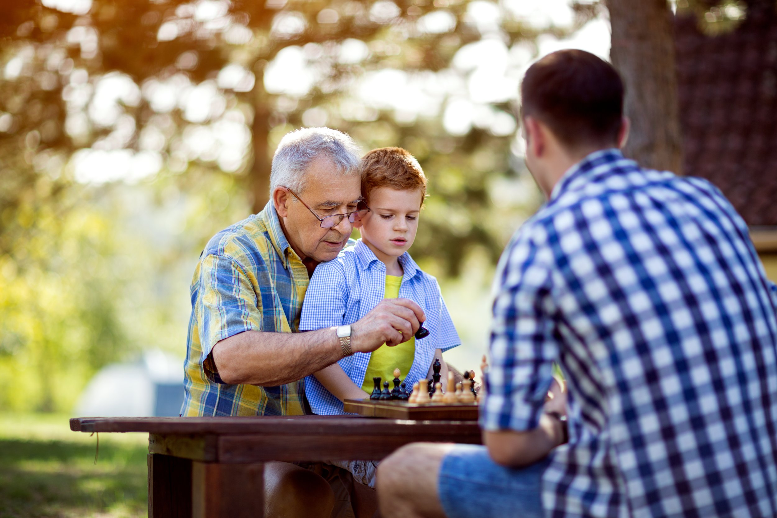 Дедушка учит внучку. Дедушка и внук играют в шахматы. Дедушка учит фотографировать. Дед учит внука. Chess Player grandfather and grandson.