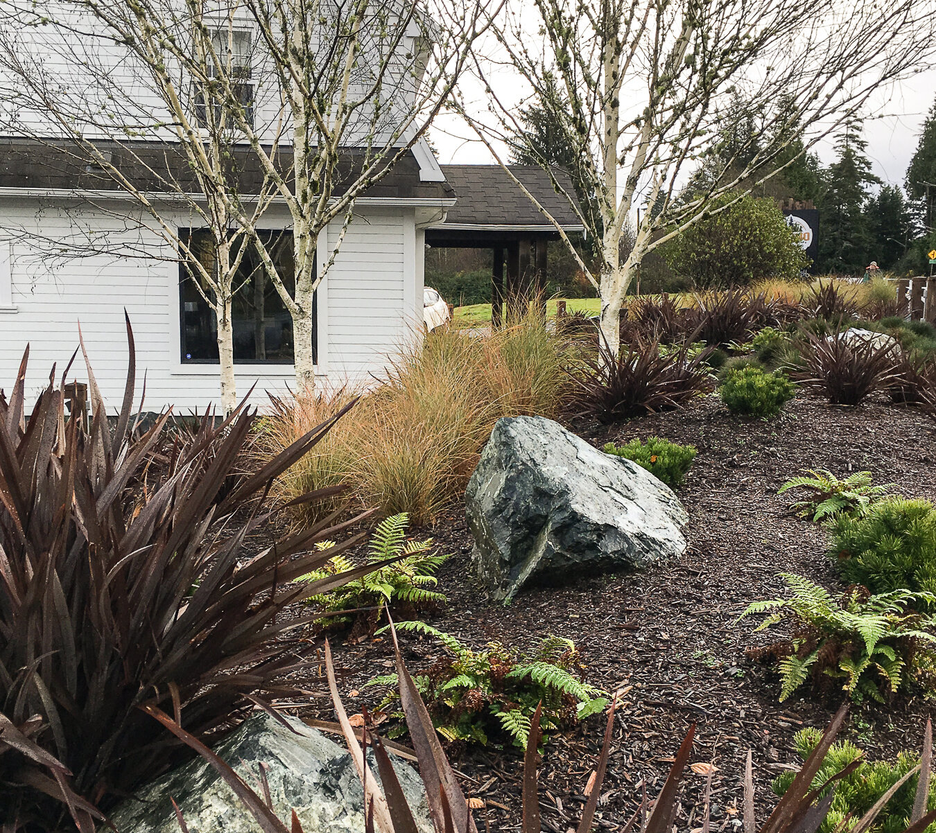 BIOPHILIA-TOFINO-RESORT-AND-MARINA-COVER.jpg