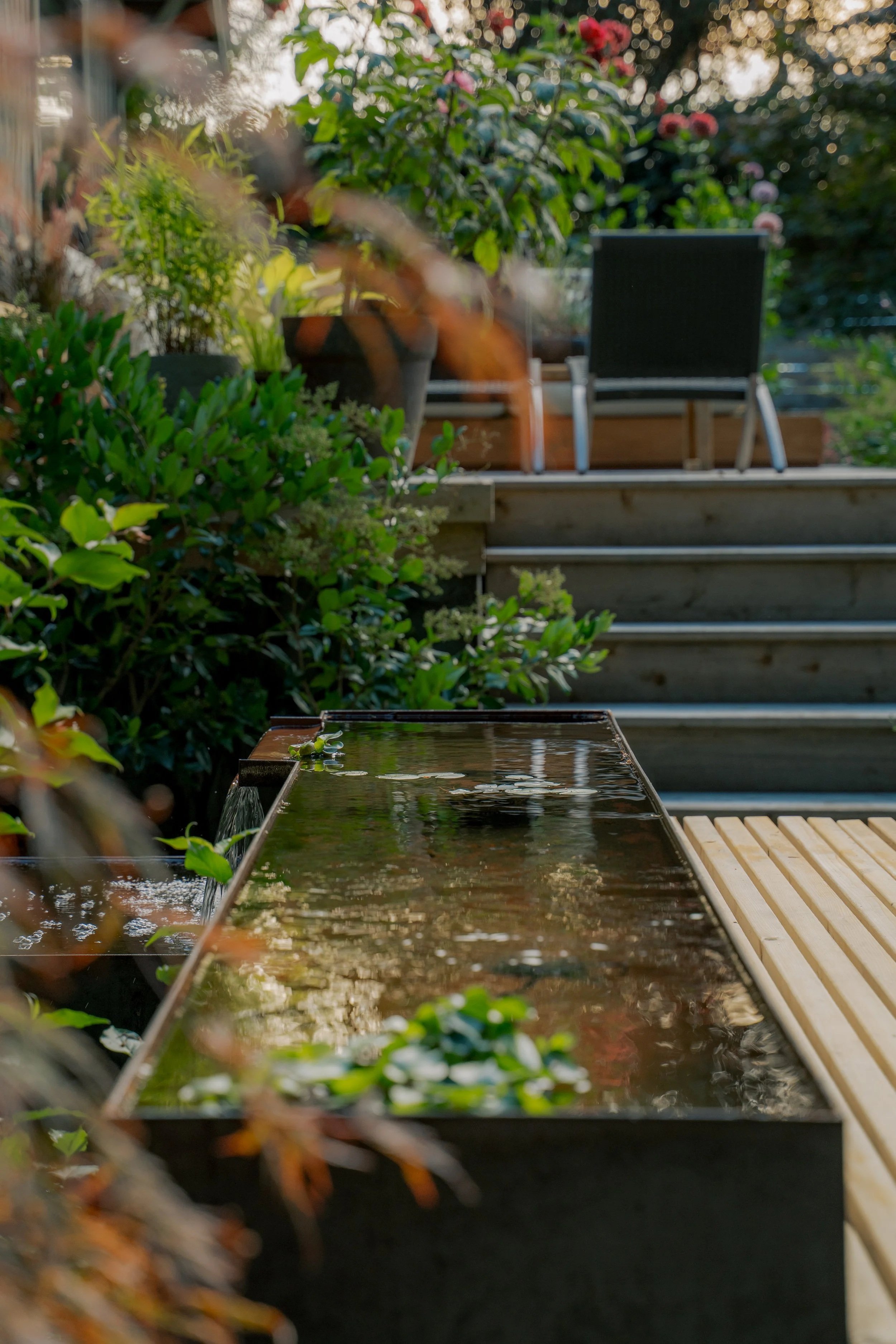 North Saanich Sanctuary