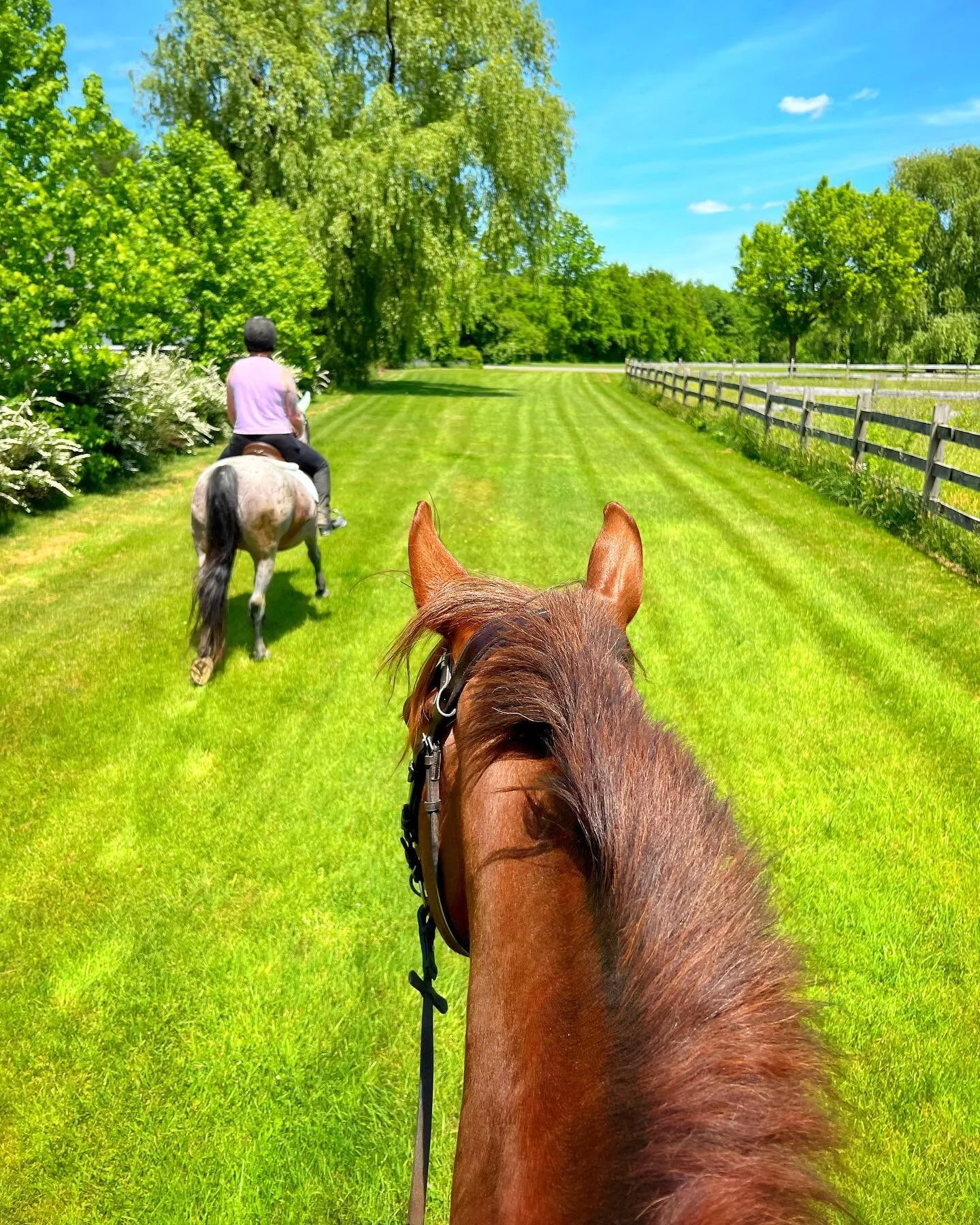 you&rsquo;d never know Liv and I were besties, because the closest thing we have to pics together are a thousand pics of us playing ponies that look just like this. happy bday, my sweet forever friend :)