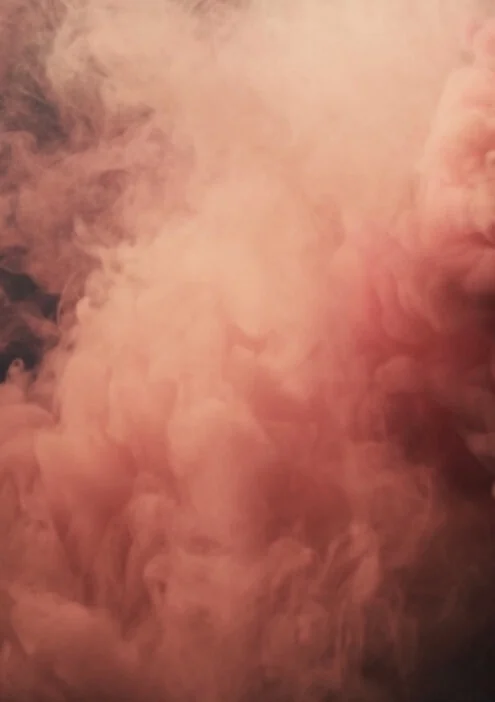 David Sims | 13.06.20