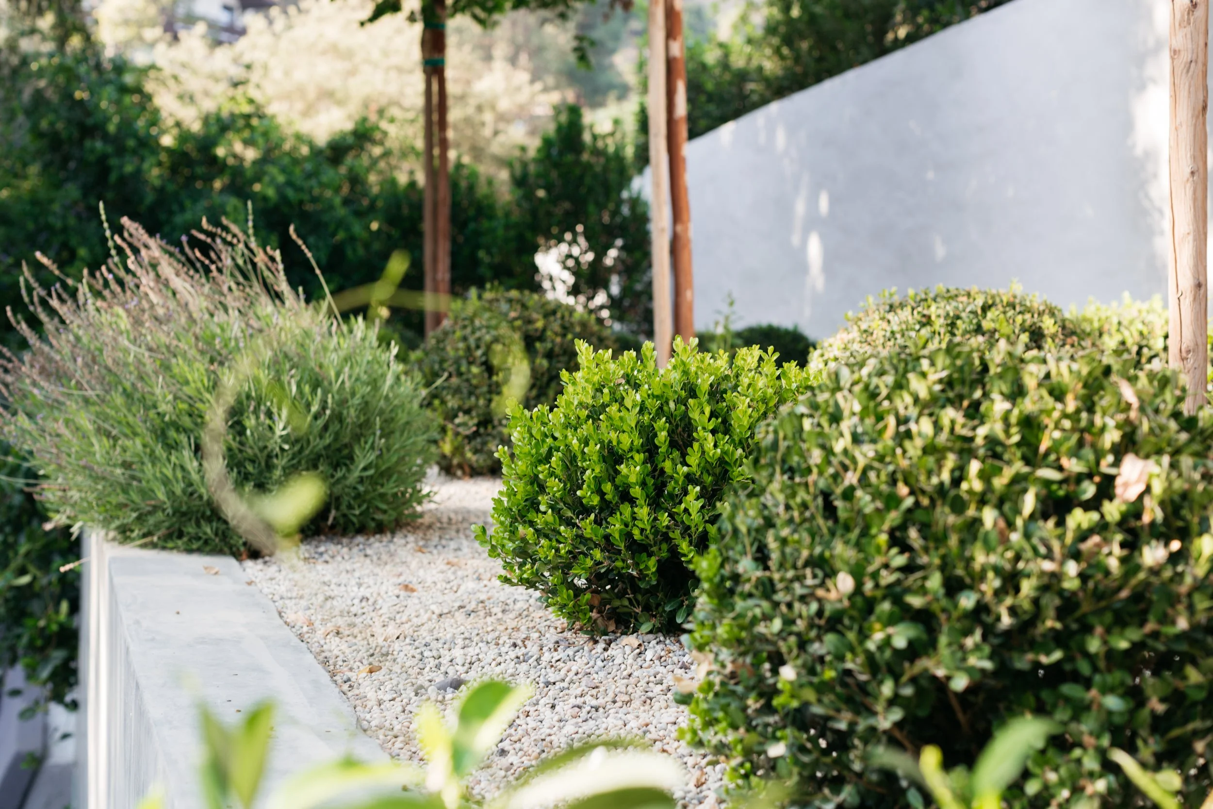 7776 Firenze Ave - Landscape-160.jpg