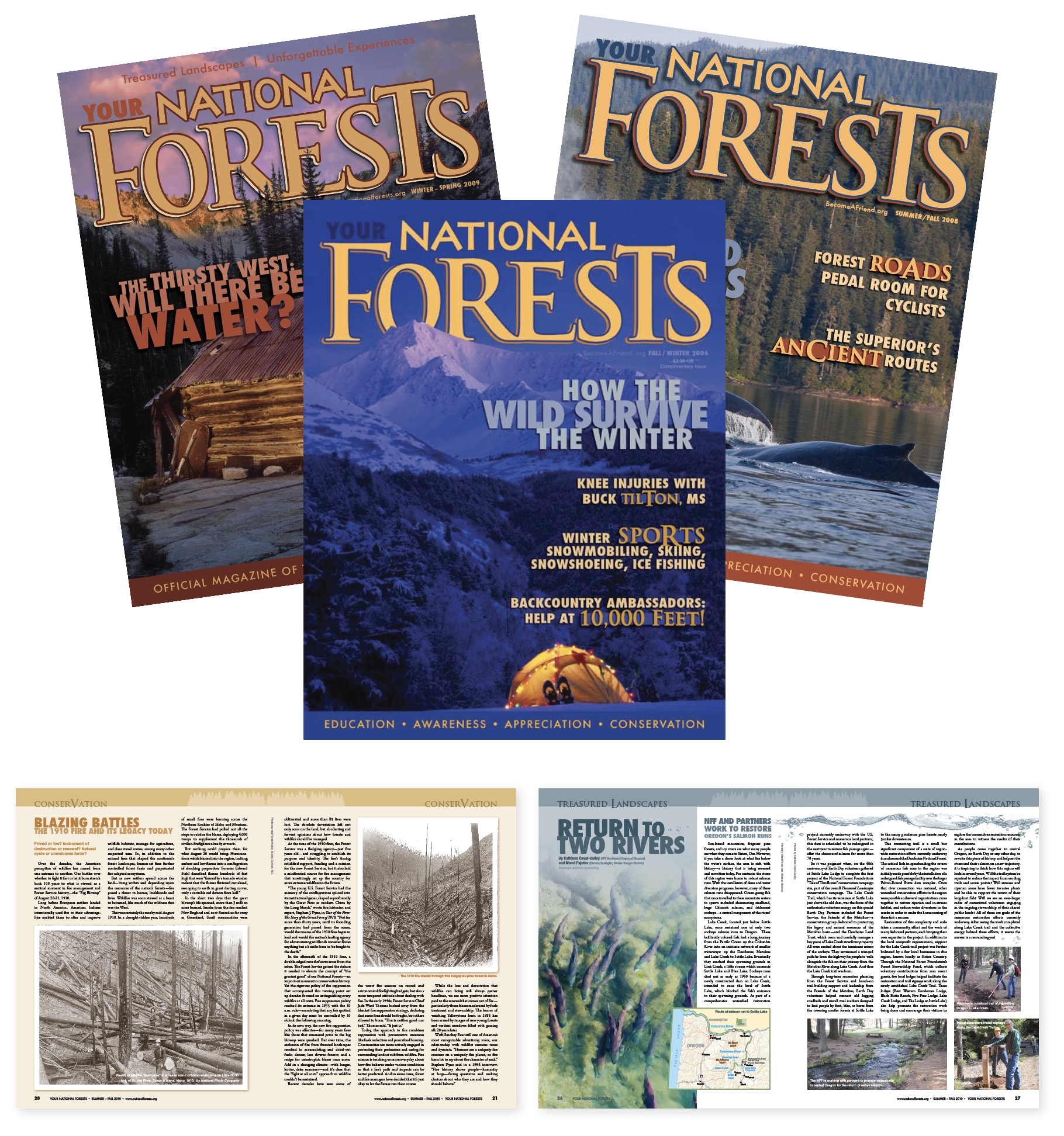 Collection of magazine covers about national forests, showing landscapes, conservation topics, and outdoor activities.
