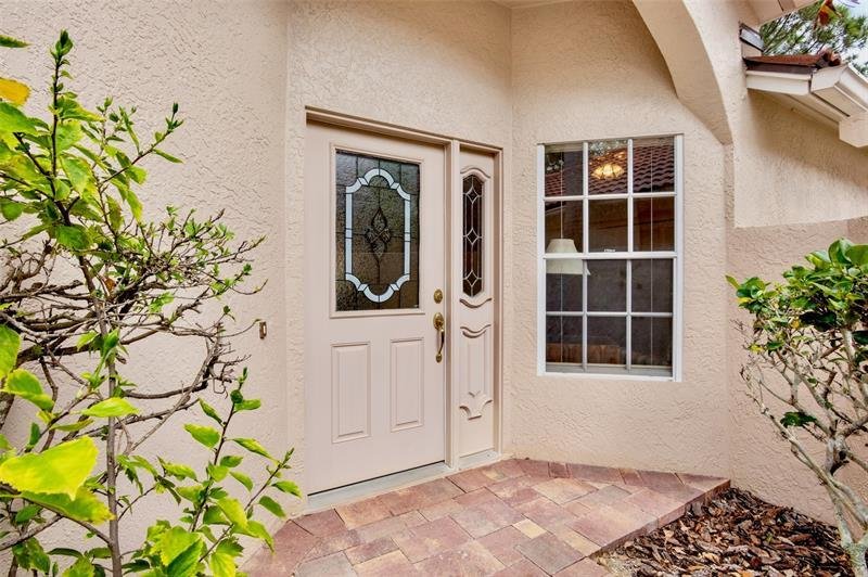 getimageonline (2).jpeg