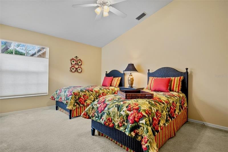 getimageonline (19).jpeg