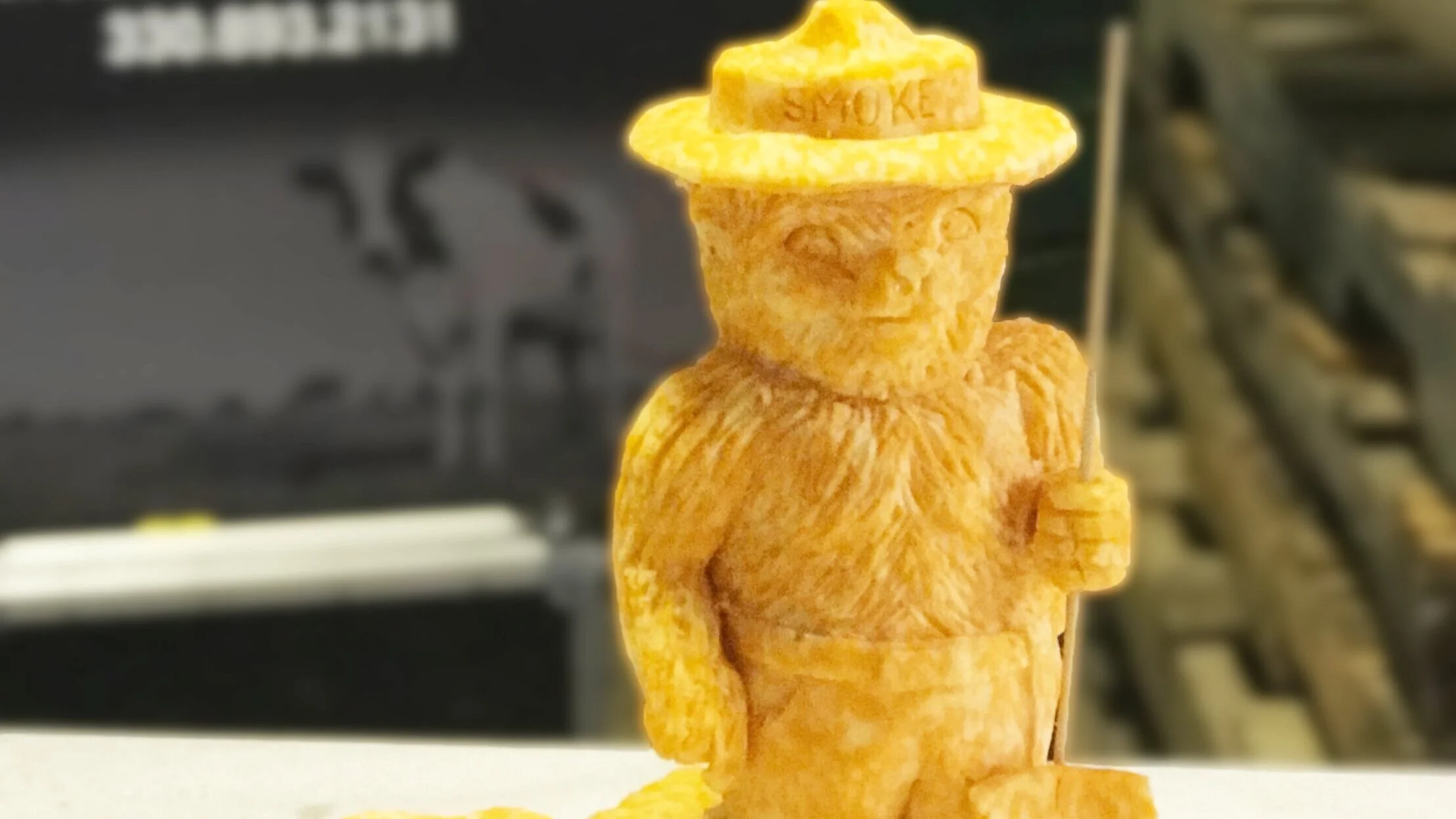 Squashcarver at Public Library Steubenville and Jefferson County 2025