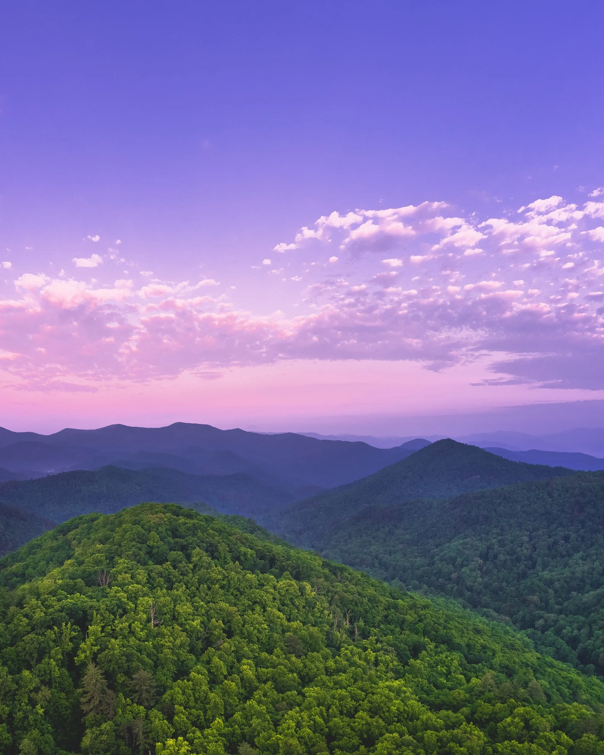  “Appalachian Morning” 