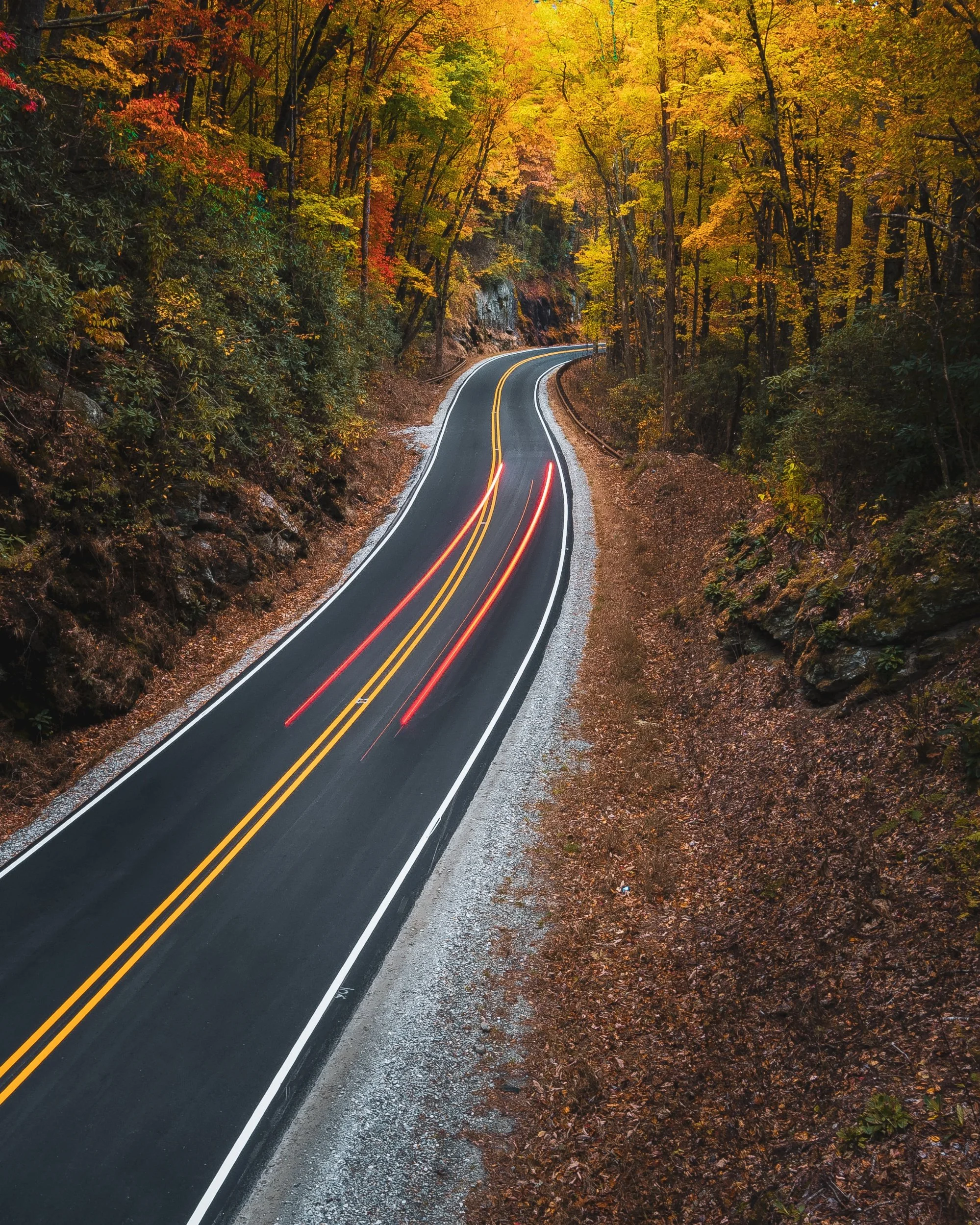  “Chasing Color” 