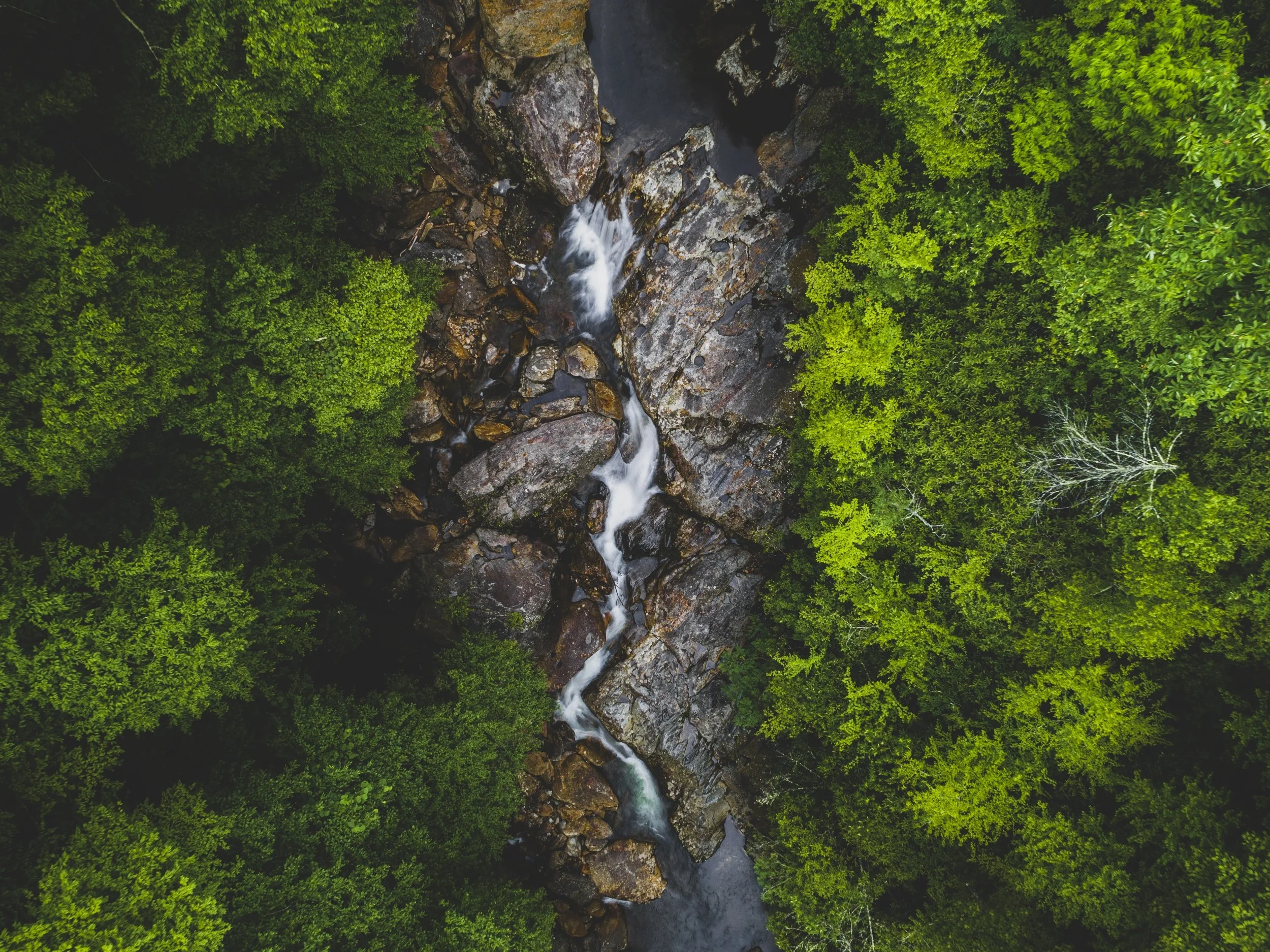  “Smooth Cascades” 