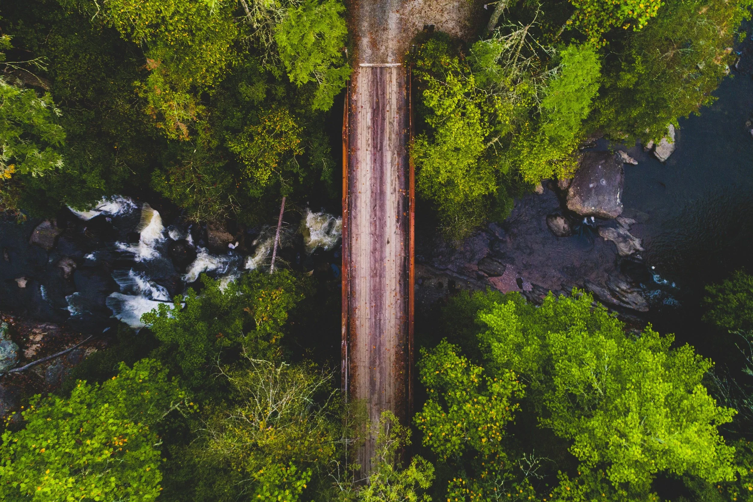  “The Falls and Old Bridge” 