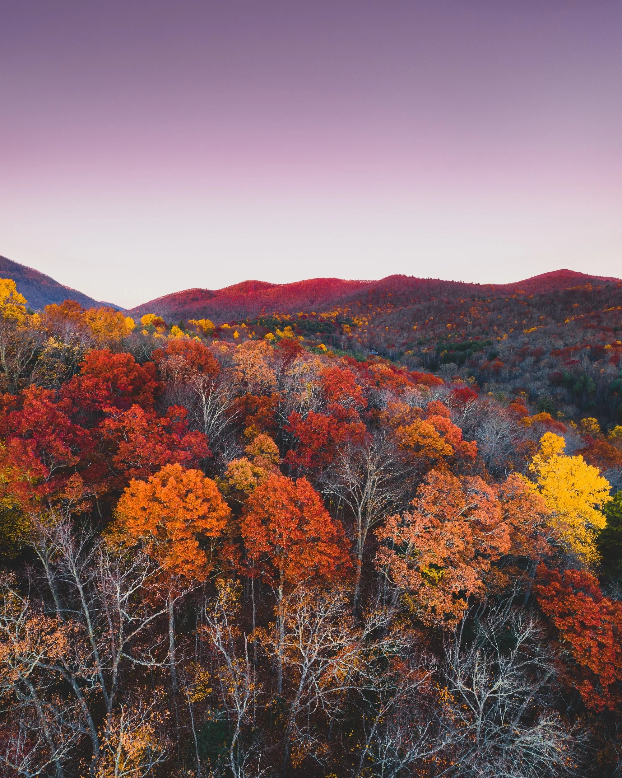  “Remnants of Fall” 
