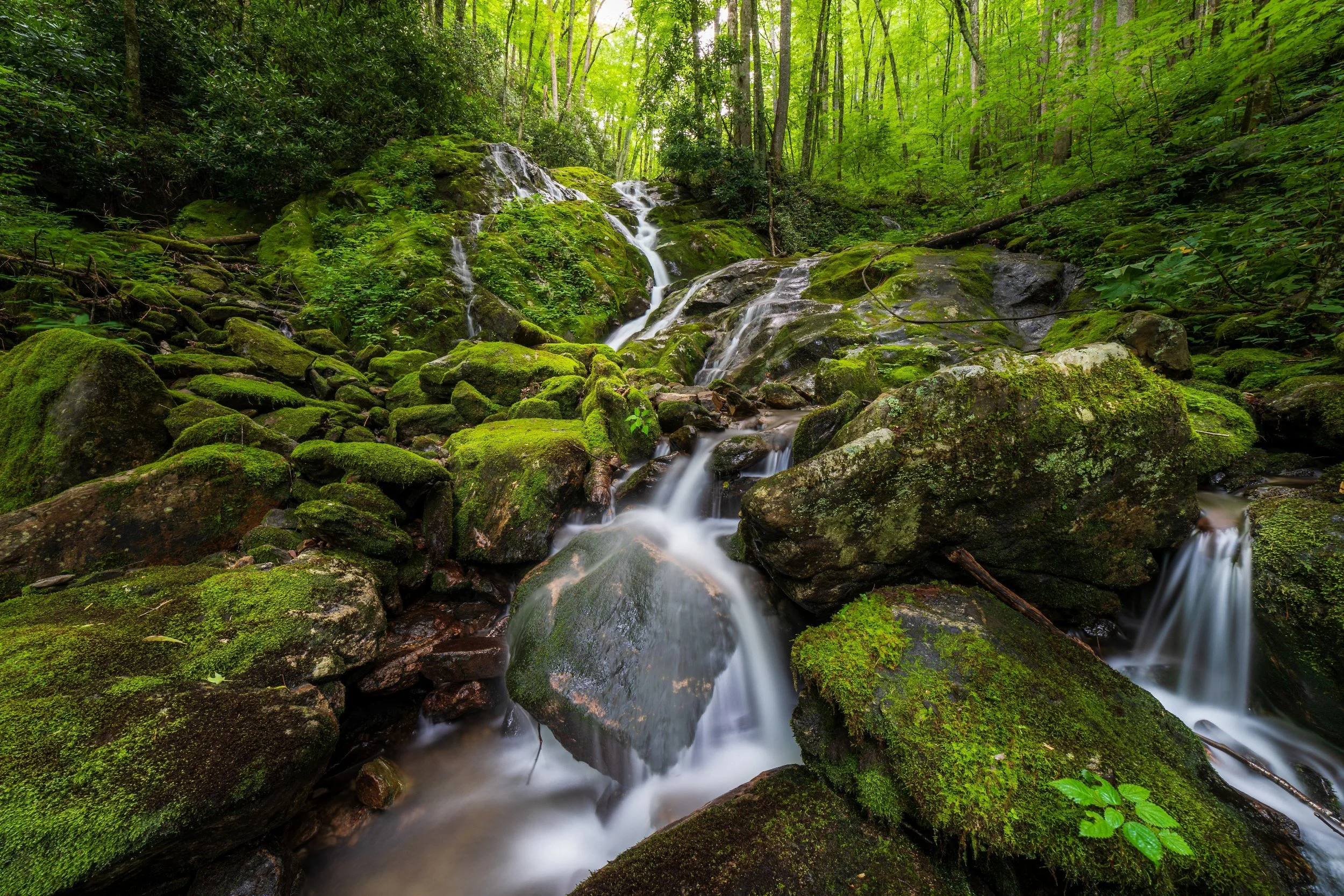  “Little Bird Falls” 
