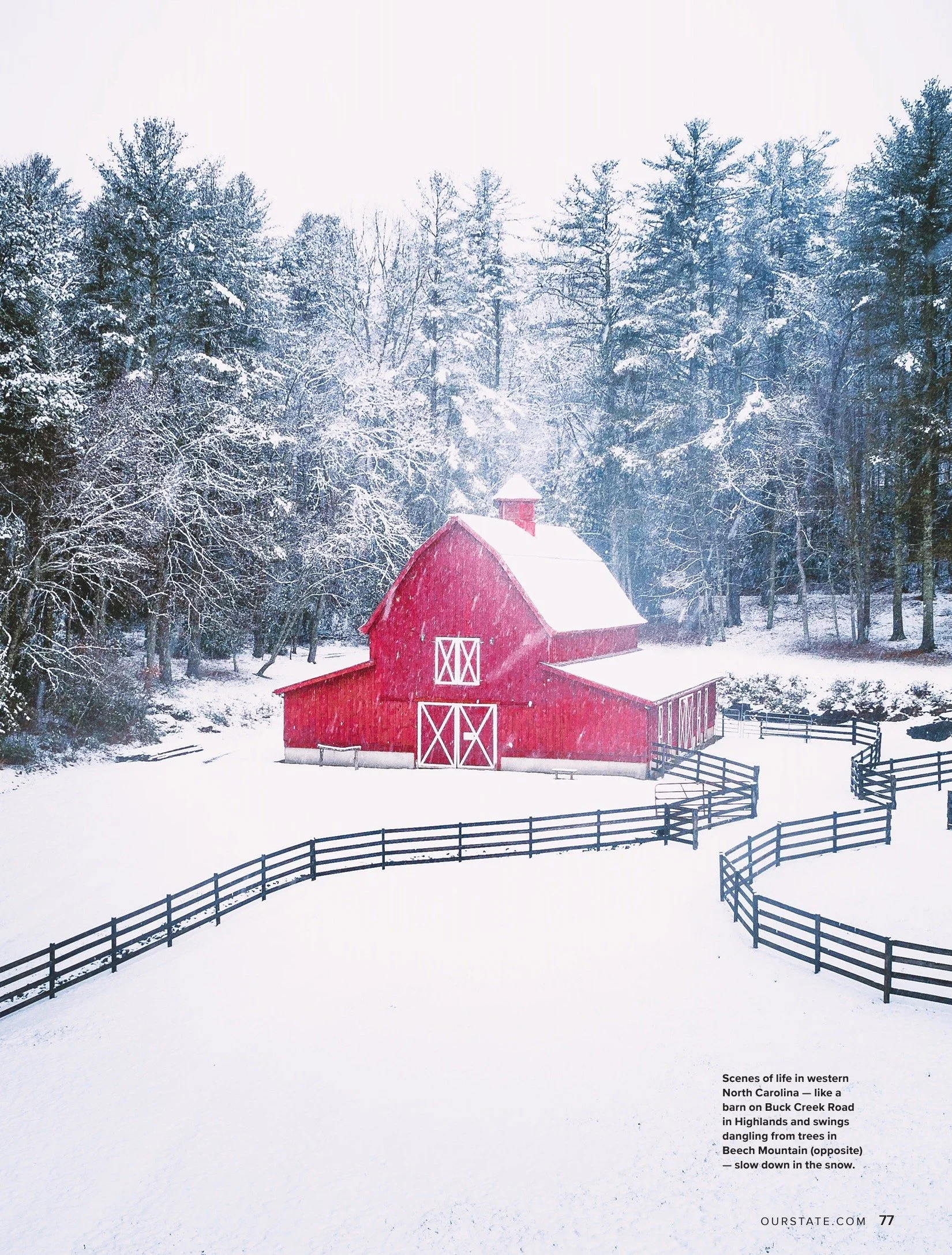 Photo Jan 23 2023, 11 21 28 PM.jpg