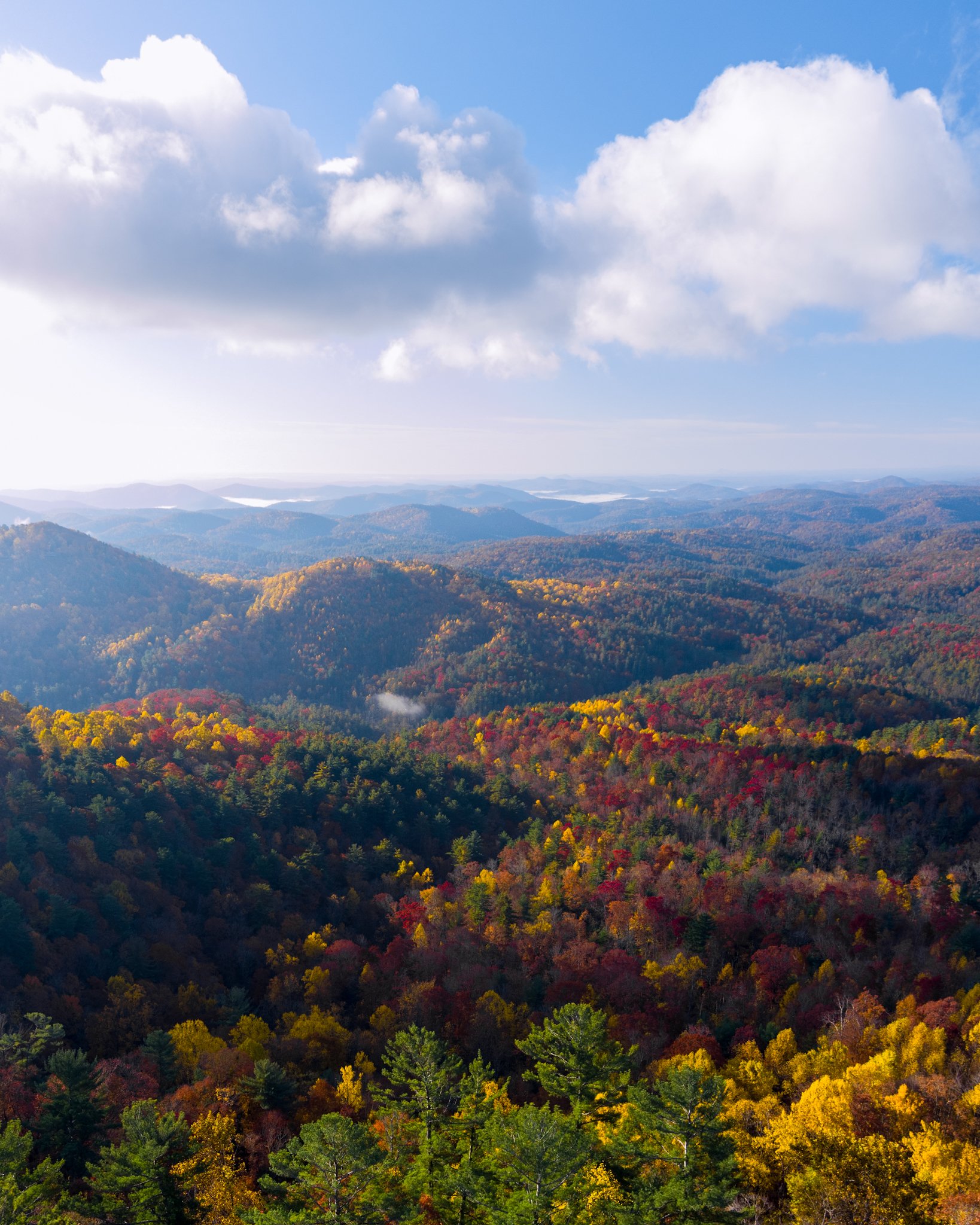 "Autumn Morning Views"